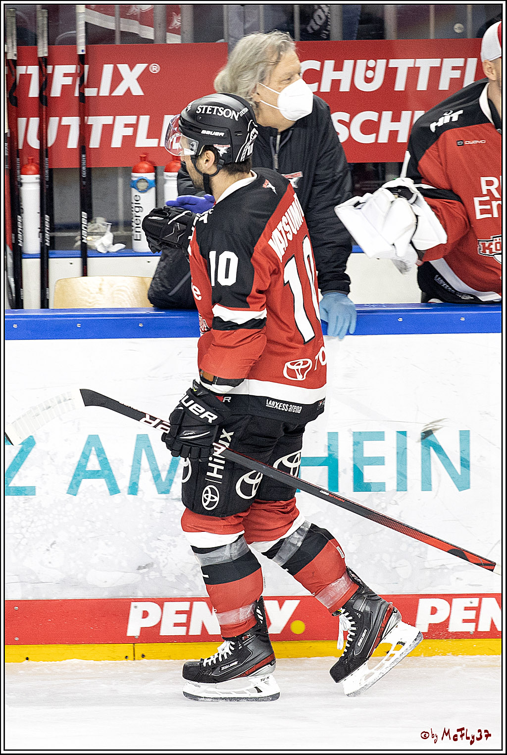 PENNY DEL;  Koelner Haie - Bietigheim Steelers; Koeln, 19.11.2021